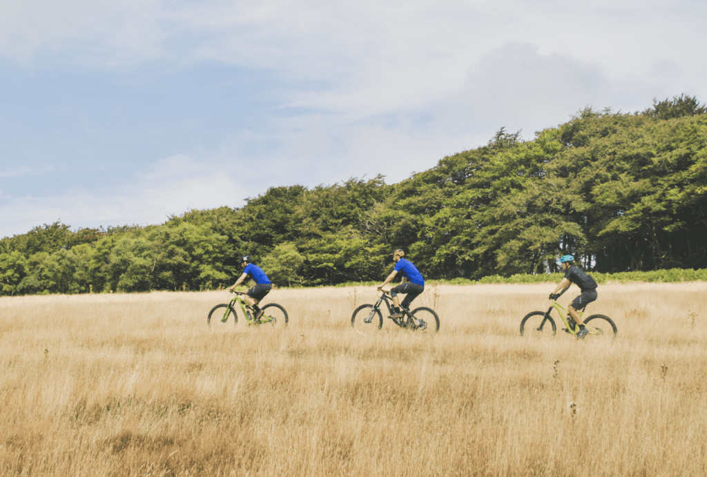 Three people riding mountain bikes through a grassy field. They are all wearing blue shirts and helmets. The field has tall, golden grass, and there is a line of trees in the background under a partly cloudy sky. The scene depicts a leisurely outdoor biking activity in a natural setting.